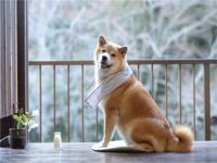 你们知道循环热风机是什么吗？